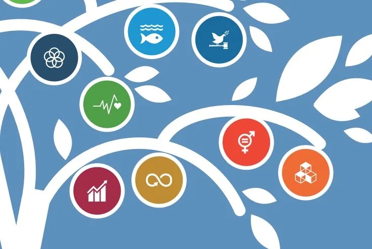 Edukacja dla zrównoważonego rozwoju: klucz do lepszej przyszłości