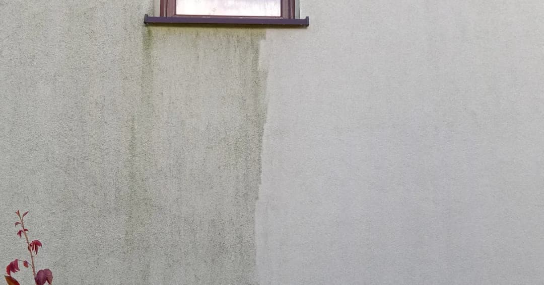 Skuteczne metody usuwania ptasich odchodów z elewacji bez wysiłku