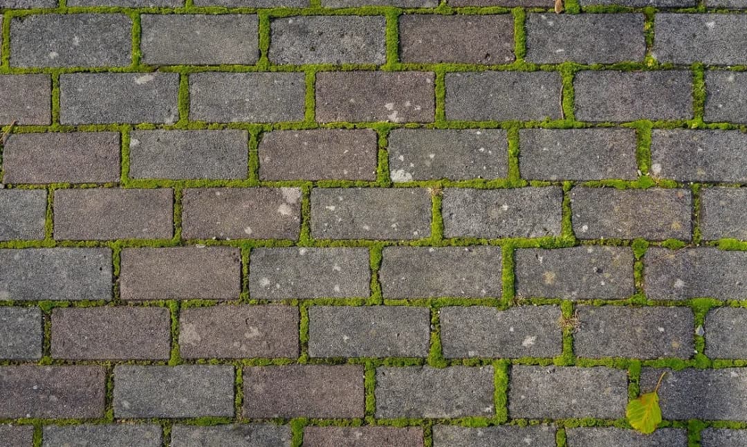 Jak usunąć zielony nalot z kostki brukowej - skuteczne metody i porady